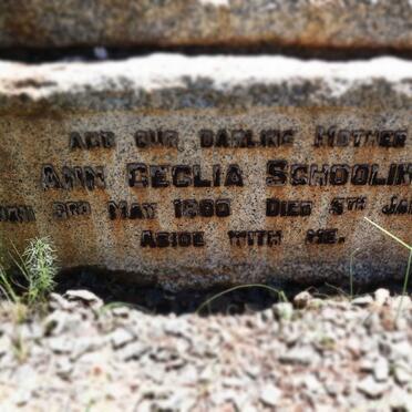 SCHOOLING William Bolton 1875-1942 &amp; Ann Ceclia 1880-1952