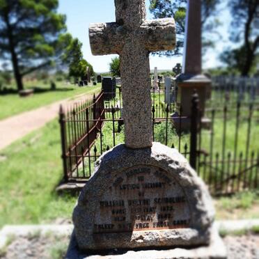 SCHOOLING William Bolton 1875-1942 &amp; Ann Ceclia 1880-1952