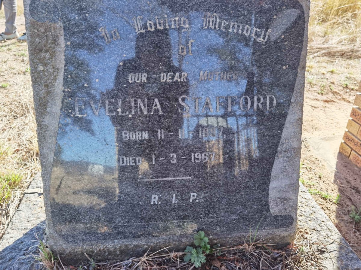 STAFFORD Evelina 1897-1967