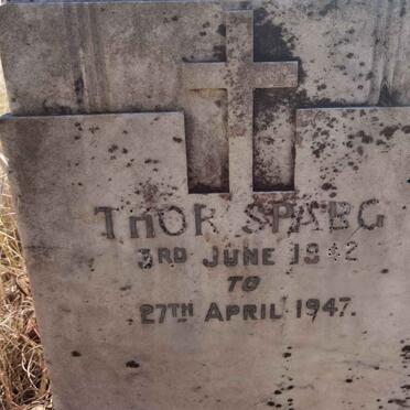 SPARG Thor 1942-1947