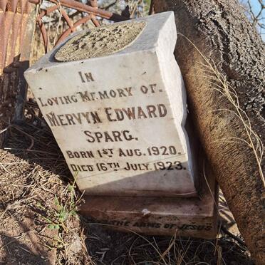 SPARG Mervyn Edward 1920-1923