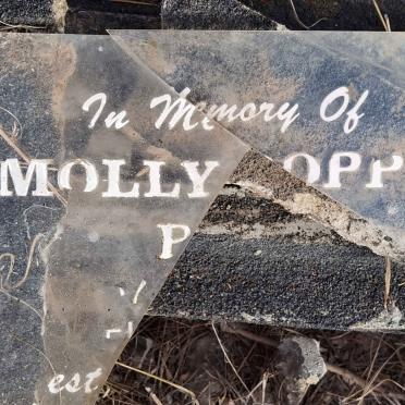 ? Molly