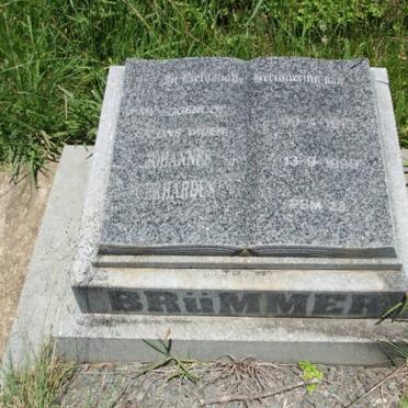 BRUMMER Johannes Gerhardus 1910-1990