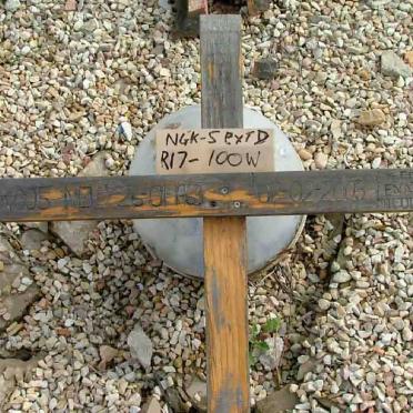 NEL Koos 1963-2003