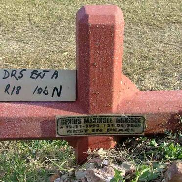 NGXISHE Genius Magixole 1992-2002