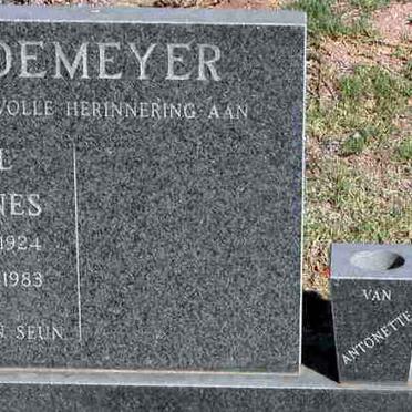 RADEMEYER Daniel Johannes 1924-1983 :: RADEMEYER Daniel Mynhardt 1969-1991