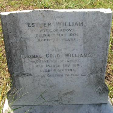 WILLIAMS Thomas Coad 1885-? &amp; Esther -1904 :: WILLIAMS Thomas Coad -1891