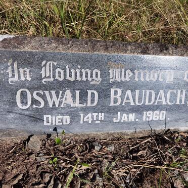 BAUDACH Oswald -1960