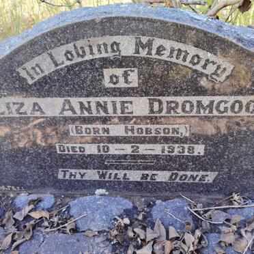 DROMGOOLE Eliza Annie nee HOBSON -1938