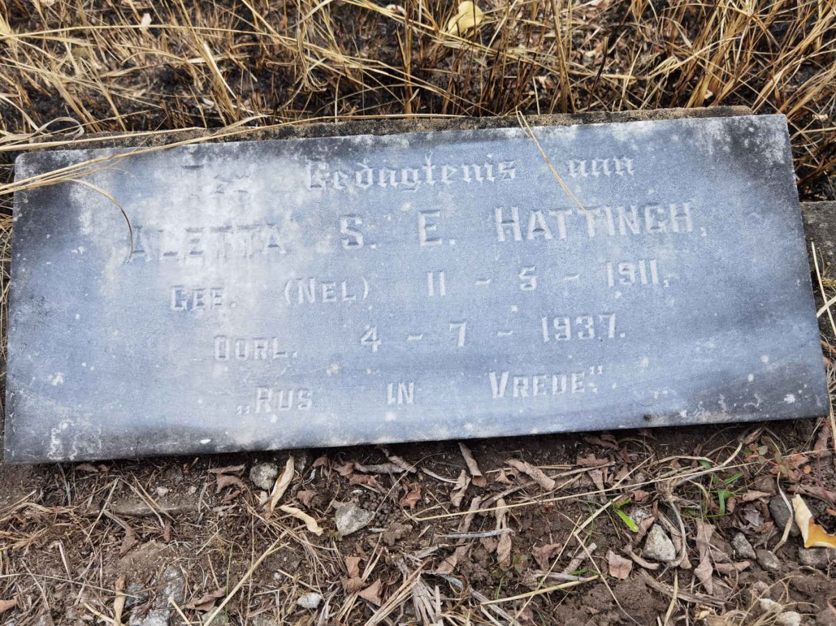 HATTINGH Aletta S.E. nee NEL 1911-1937