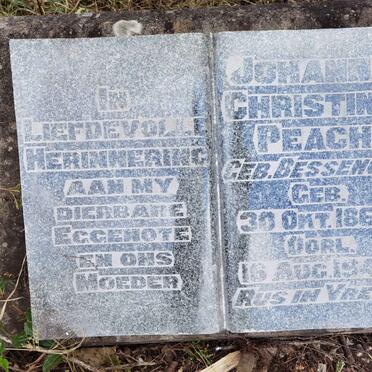 PEACH Johanna Christina nee BESSENGER 1866-1944