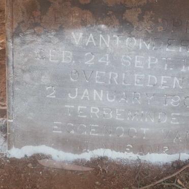 AUCAMP Aletha Sophia nee VAN TONDER 1877-1906