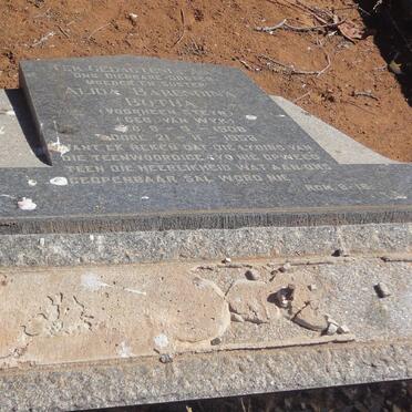 BOTHA Alida Barendina formerly STEYN nee VAN WYK 1908-1958