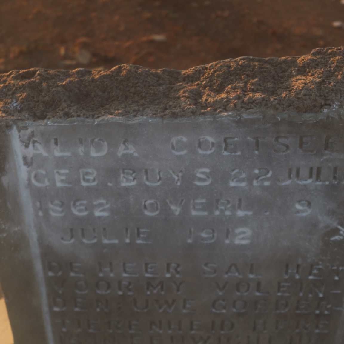 COETSEE Alida nee BUYS 1862-1912