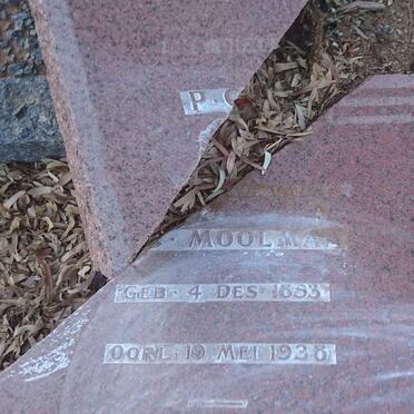 MOOLMAN P.?. 1853-1938