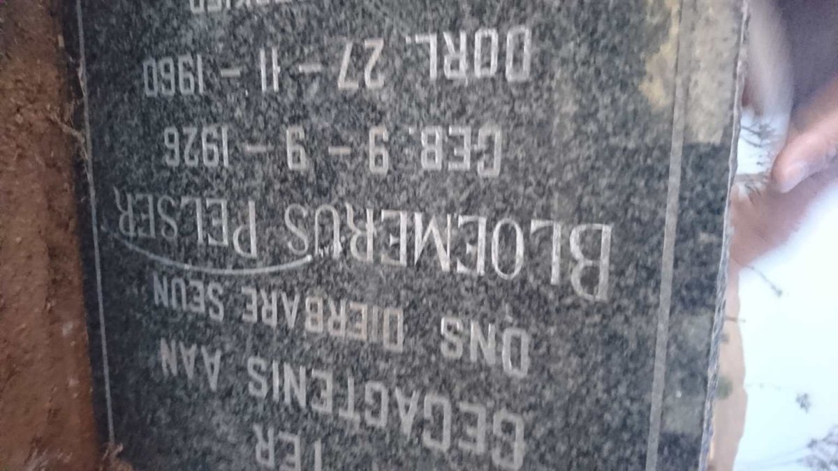 PELSER Bloemerus 1926-1960
