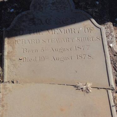 SHIELS Richard Stewart 1877-1878