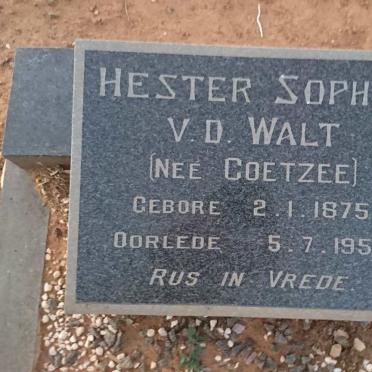 WALT Hester Sophia, v.d. nee COETZEE 1875-1958