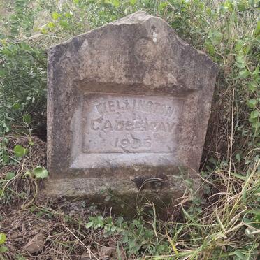 11. Wellington Causeway 19?5