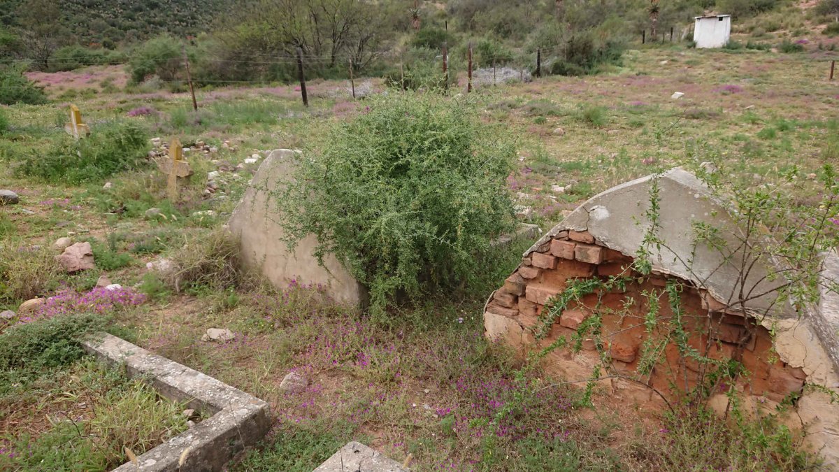 3. Overview