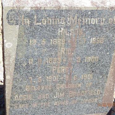 BRADFIELD Hilson 1889-1890 : BRADFIELD Rio 1899-1900 :: BRADFIELD Percy 1901-1901