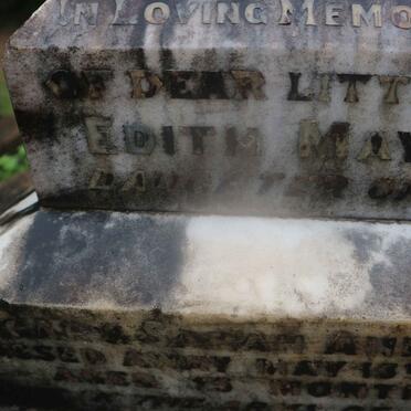 TARR Edith May -1895