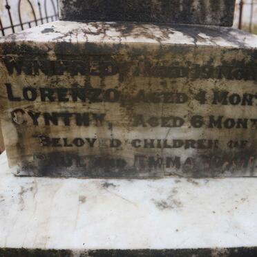 TIMM Winifred :: TIMM Lorenzo :: TIMM Cynthy