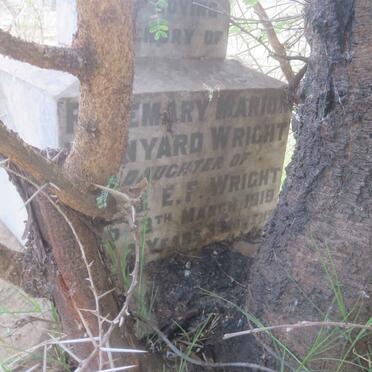 WRIGHT Rosemary Marion Wynyard -1919