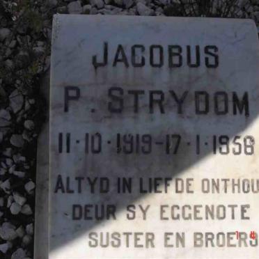 STRYDOM Jacobus P. 1919-1958