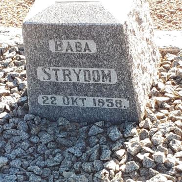 STRYDOM Baba -1958