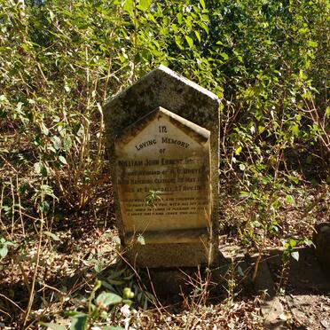 DREYER William John Ernest 1850-1927