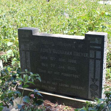 DREYER Mary Agnes Buchanan 1886-1950