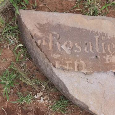 ? Rosalie