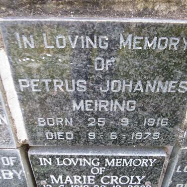 MEIRING Petrus Johannes 1916-1979