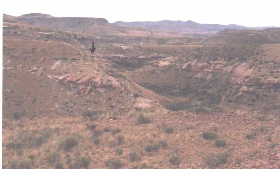 1. Overview