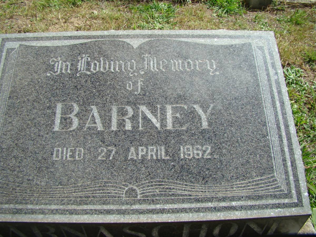 BARNASCHONE Barney -1962