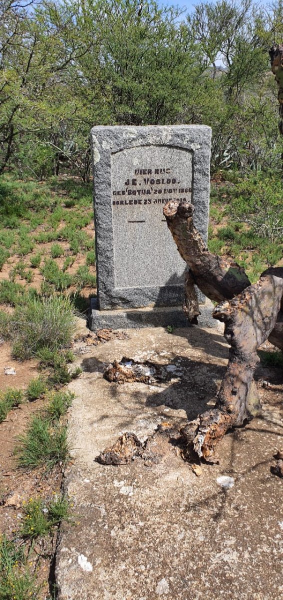 VOSLOO J.E. nee BOTHA 1866-1919