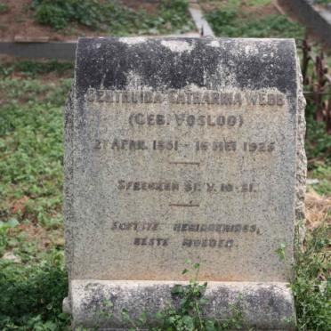 Eastern Cape, SOMERSET EAST district, Klipfontein, farm cemetery