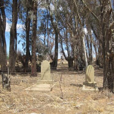 Eastern Cape, STERKSTROOM district, Farm 29, The Willows, farm cemetery