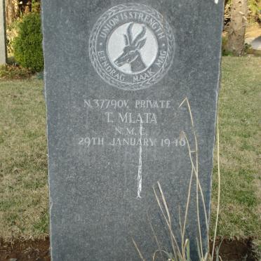 MLATA T. -1916