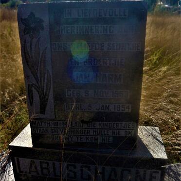 LABUSCHAGNE Jan Harm 1953-1954