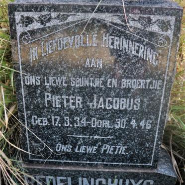 REDELINGHUYS Pieter Jacobus 1934-1946