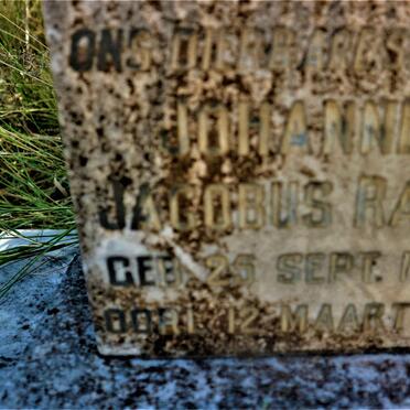 RABIE Johannes Jacobus 1950-1951