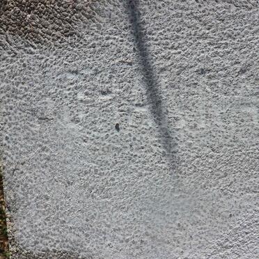 WELTHAGEN Johanna Levina nee MARAIS 1877-1946