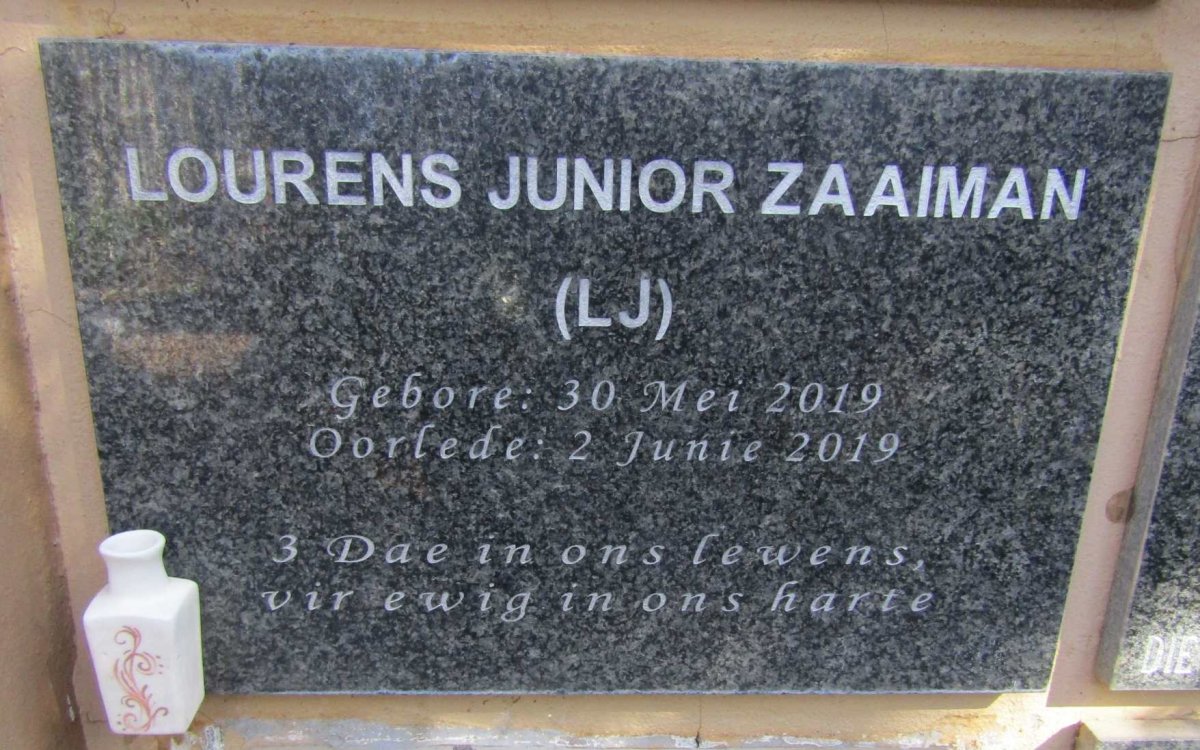 ZAAIMAN Lourens Junior 2019-2019