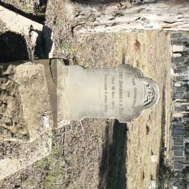 BERG Gert Jakobus, v.d. 1842-1904