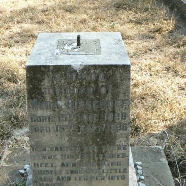 BISSCHOFF Wuda 1928-1936