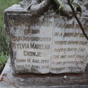 CRONJE Sylvia Marelna 1945-1946