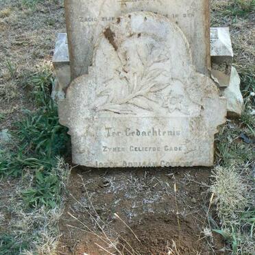 COETZEE Jozef Adriaan 1879-19?4