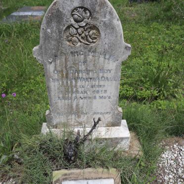 DALE Graham Walter - 1915 :: DALE Lawrence Roy 1926-1927